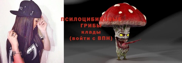 PSILOCYBIN Армянск