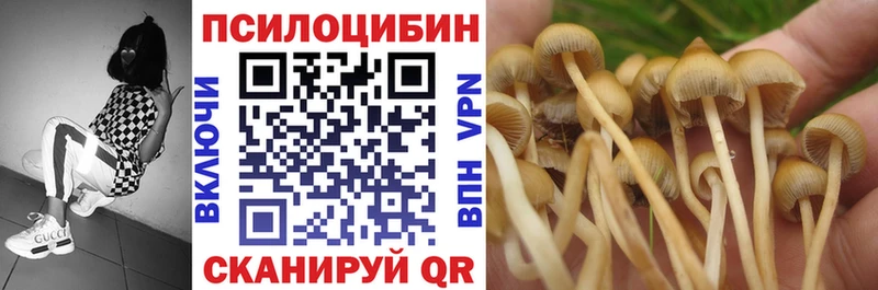как найти наркотики  Пугачёв  omg зеркало  Галлюциногенные грибы Magic Shrooms 